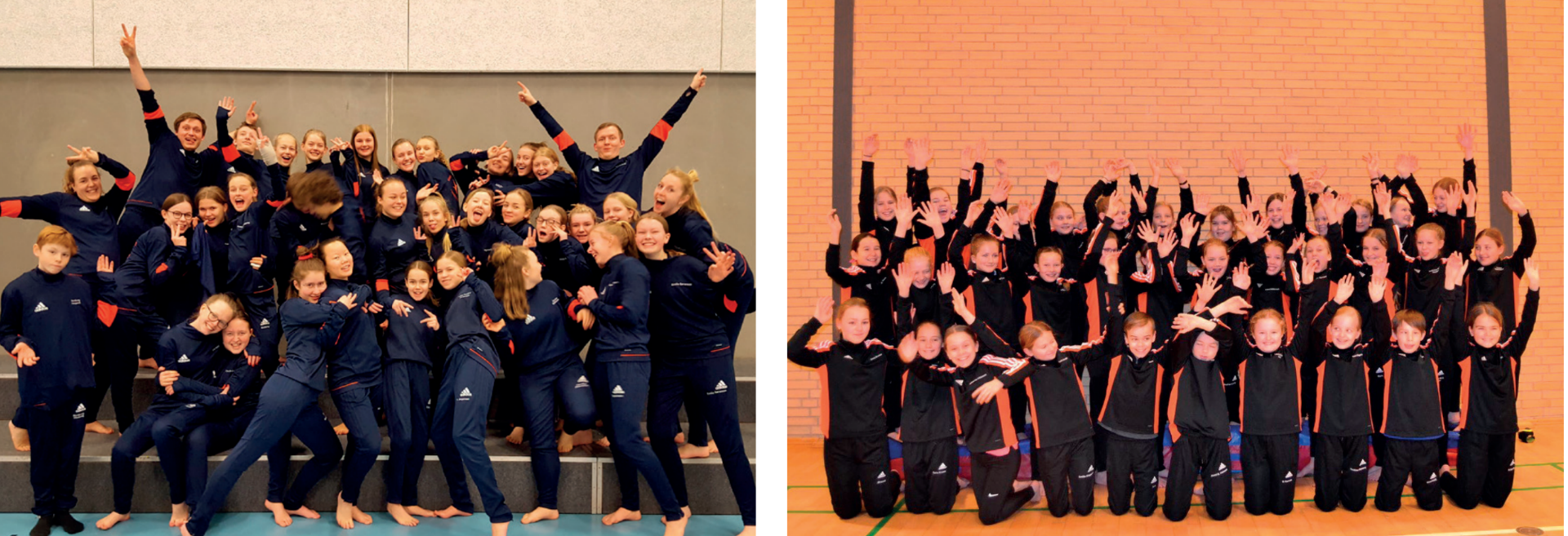 Holdene sæson 18/19